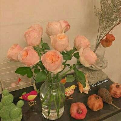 半岛(中国)体育