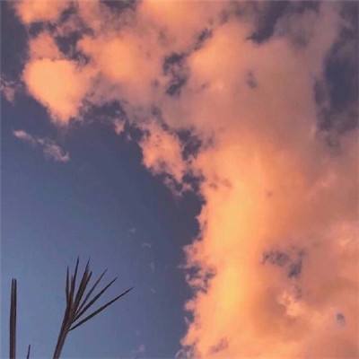 百家乐凯发k8官方网入口