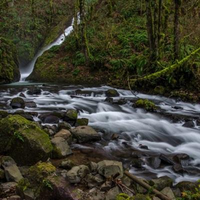 pg棋牌软件平台app下载
