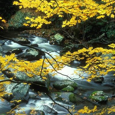 888电玩城游戏厅手机app下载